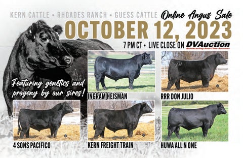 Kern Cattle 2023 Fall Sale