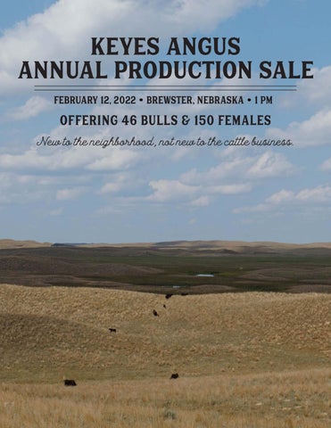 Keyes Angus - 2022 Spring Sale