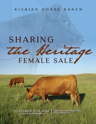 Kicking Horse Ranch - 2022 Sale