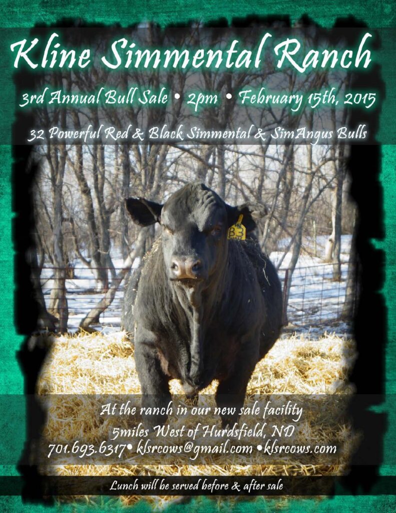 Kline Simmental Ranch - 2015 Annual Bull Sale