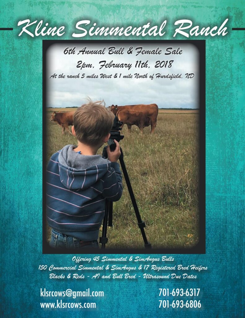 Kline Simmental Ranch - 2018 Bull Sale
