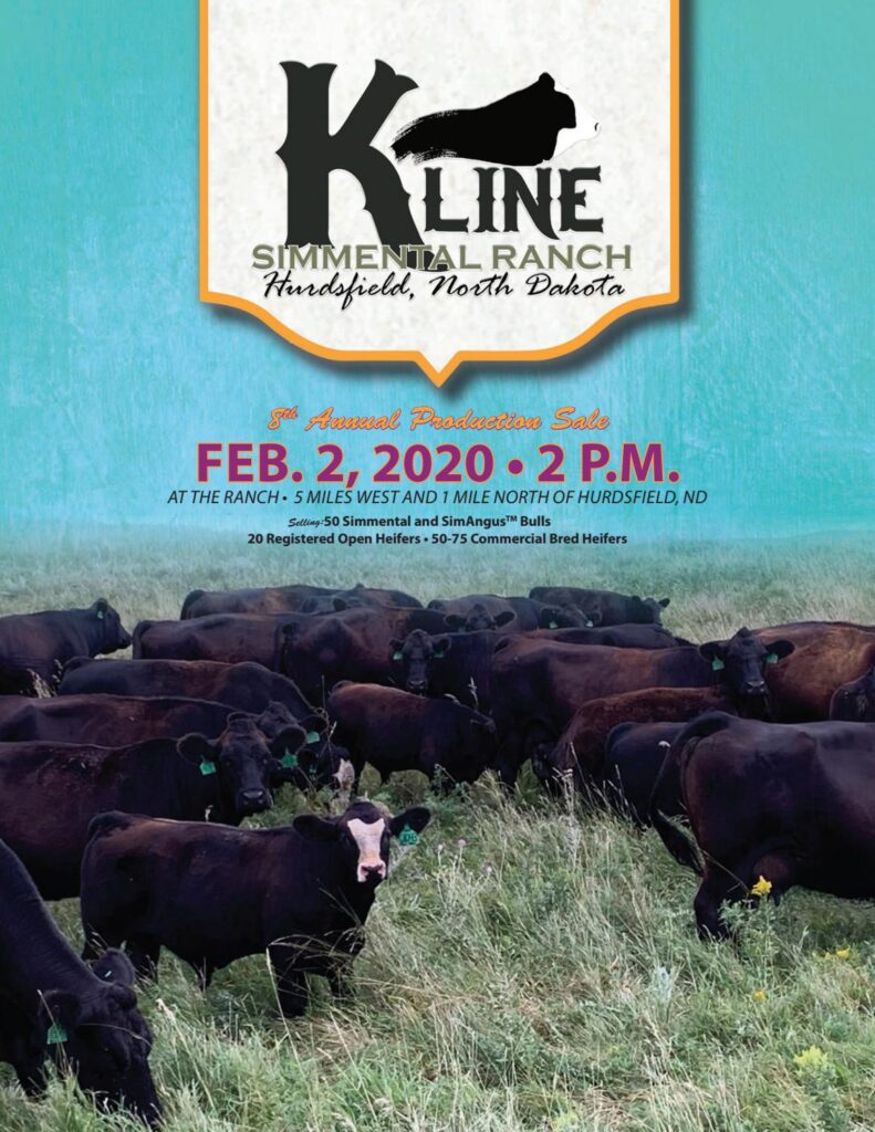 Kline Simmental Ranch - 2020 Bull Sale