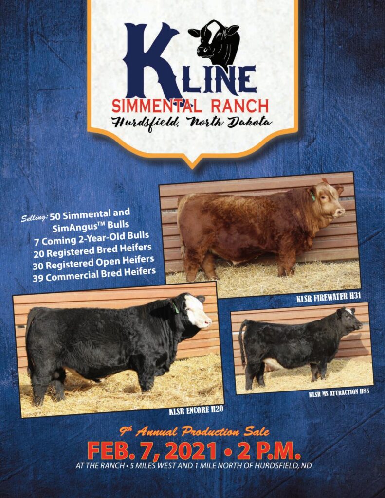 Kline Simmental Ranch - 2021 Spring Bull Sale
