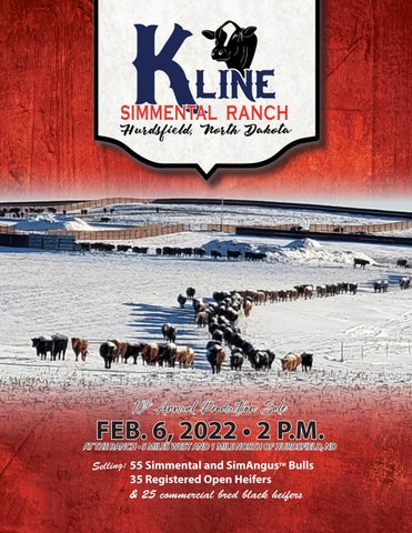 Kline Simmental Ranch - 2022 Spring Bull Sale