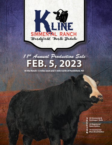 Kline Simmental Ranch - 2023 Spring Bull Sale
