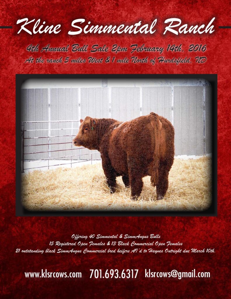 Kline Simmental Ranch - 4th Annual Bull Sale