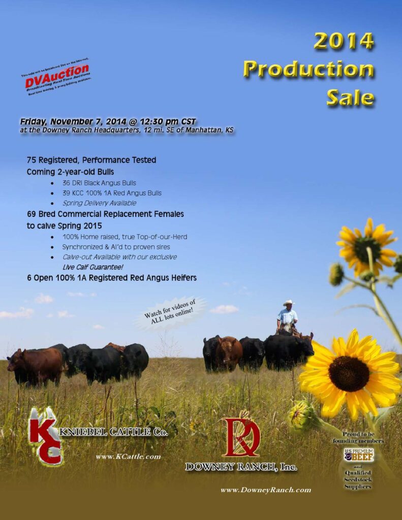 Kniebel Cattle Co / Downey Ranch - 2014 Production Sale