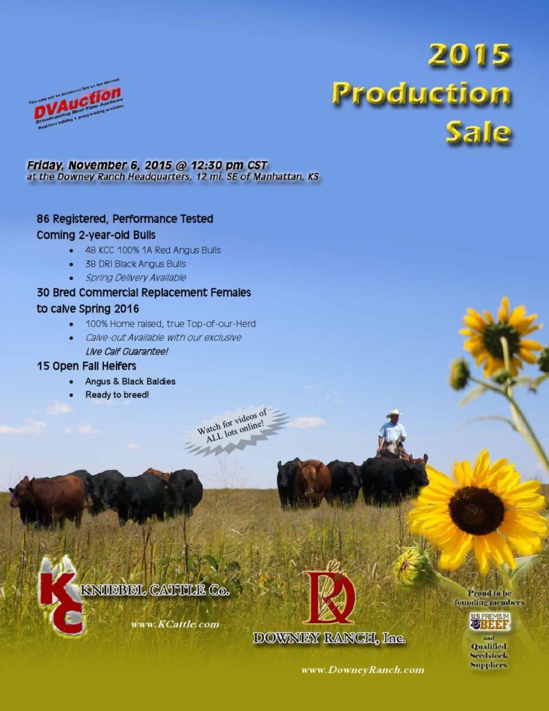 Kniebel Cattle Co / Downey Ranch - 2015 Production Sale