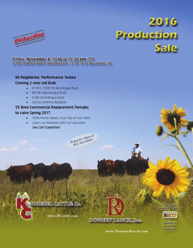 Kniebel Cattle Co / Downey Ranch - 2016 Production Sale
