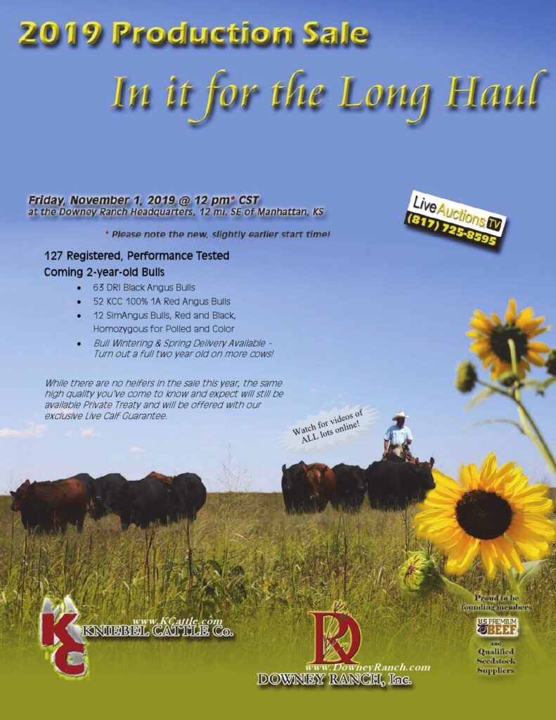 Kniebel Cattle Co / Downey Ranch - 2019 Production Sale