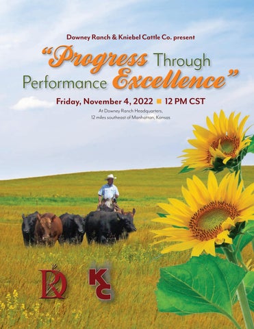 Kniebel Cattle Co / Downey Ranch - 2022 Fall Production Sale