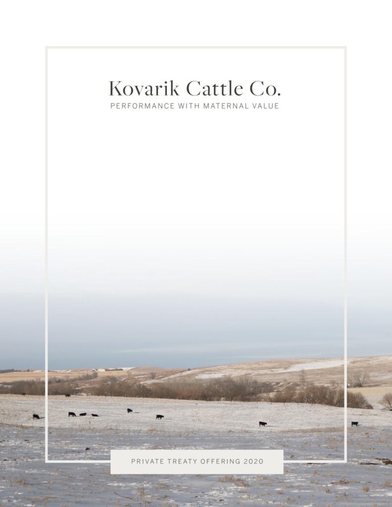 Kovarik Cattle Company - 2020 Sale