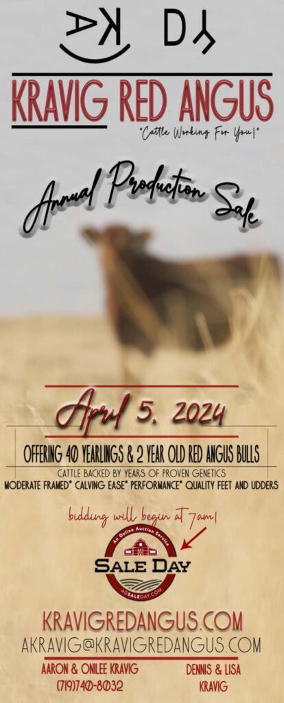 Kravig Red Angus Annual Online Production Sale