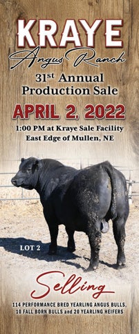 Kraye Angus Ranch - 2022 Spring Sale