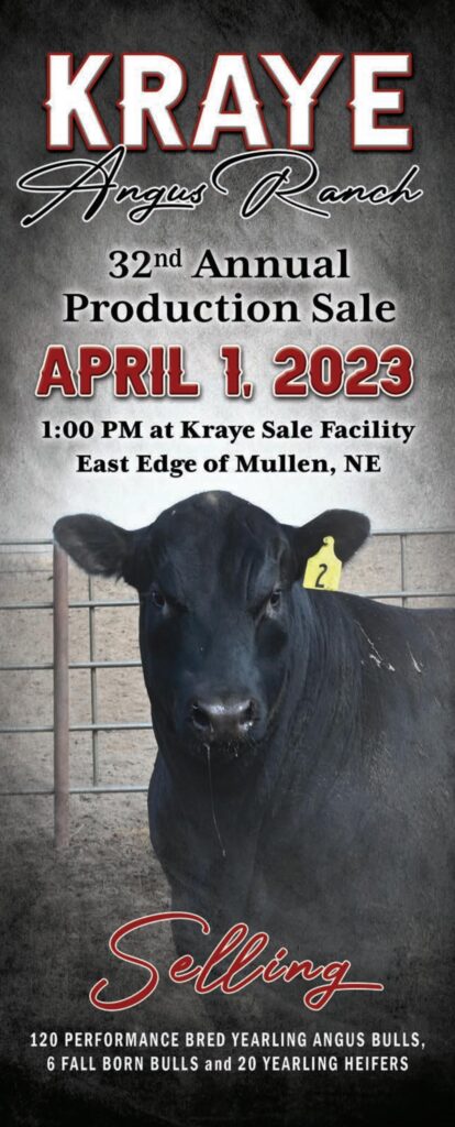 Kraye Angus Ranch - 2023 Spring Sale