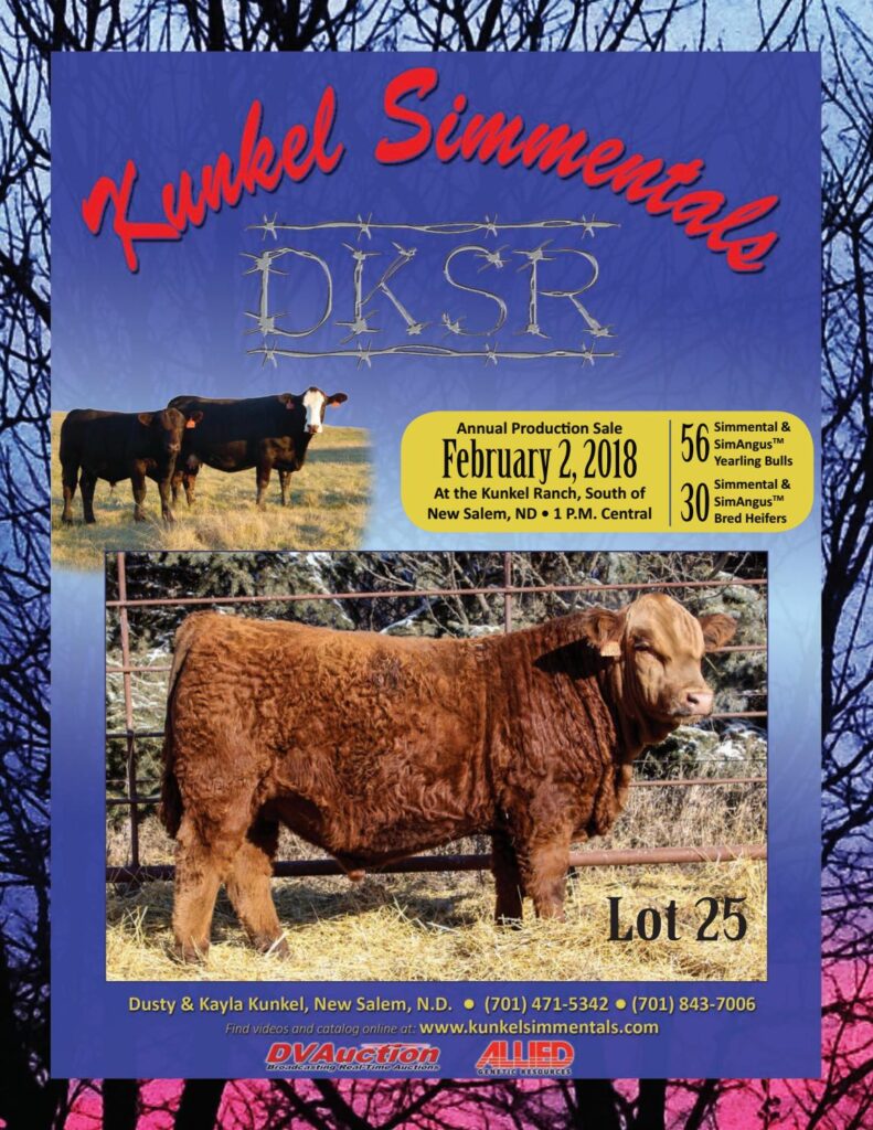 Kunkel Simmental - 2018 Production Sale