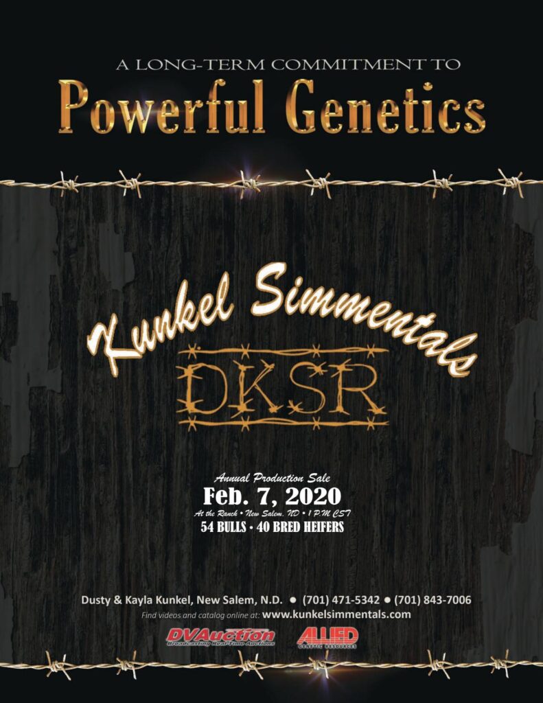 Kunkel Simmental - 2020 Production Sale