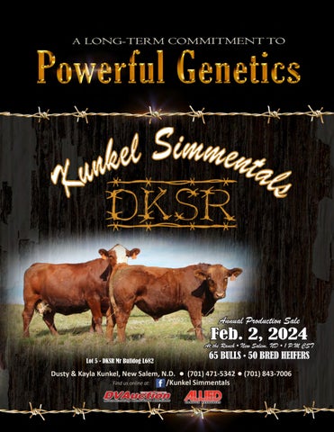 Kunkel Simmental Annual Bull & Female Sale