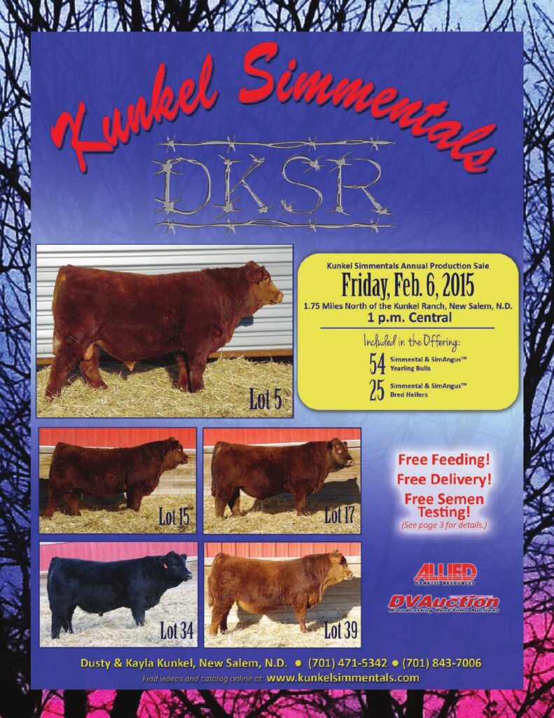 Kunkel Simmentals - 2015 Annual Production Sale