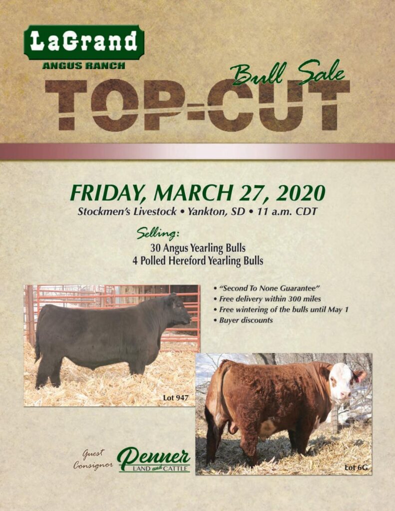 LaGrand Angus - 2020 Spring Sale