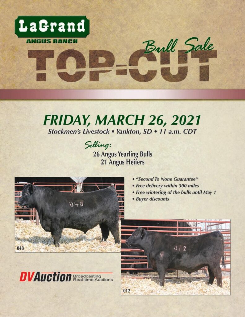 LaGrand Angus - 2021 Spring Sale