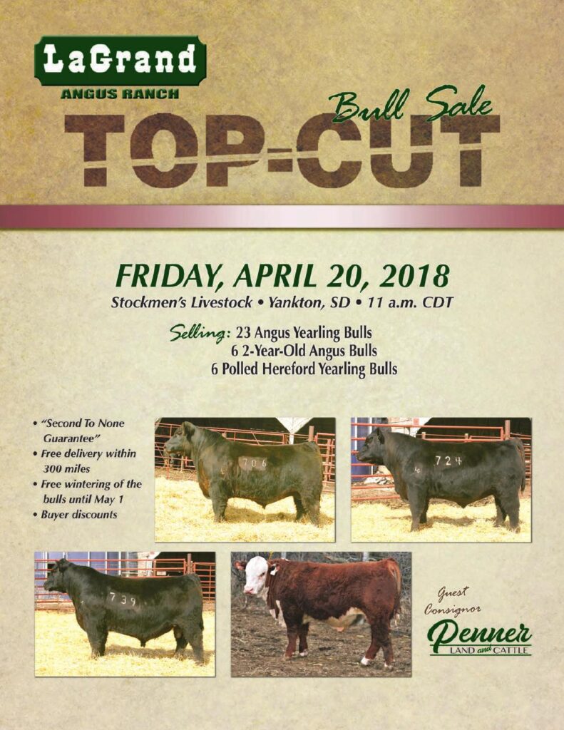 LaGrand Angus Ranch - 2018 Bull Sale