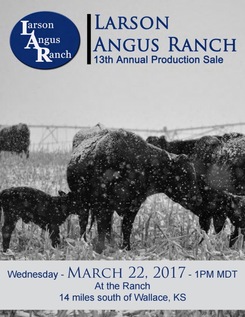 Larson Angus Ranch - 2017 Production Sale