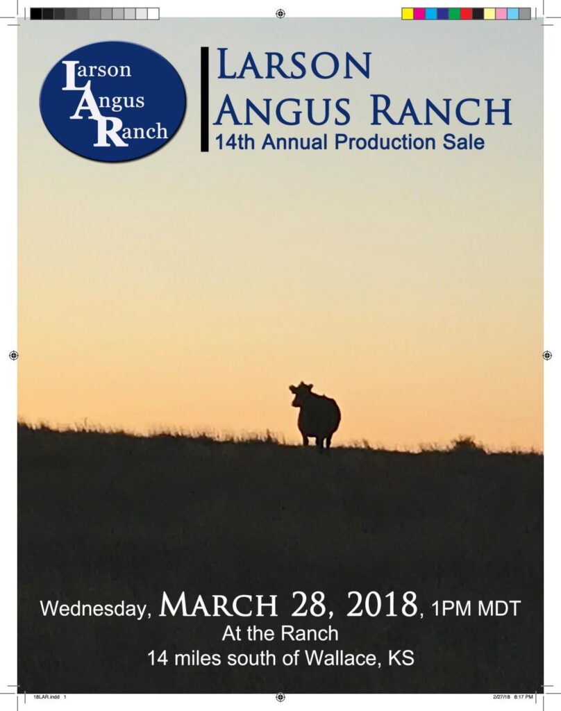 Larson Angus Ranch - 2018 Bull Sale