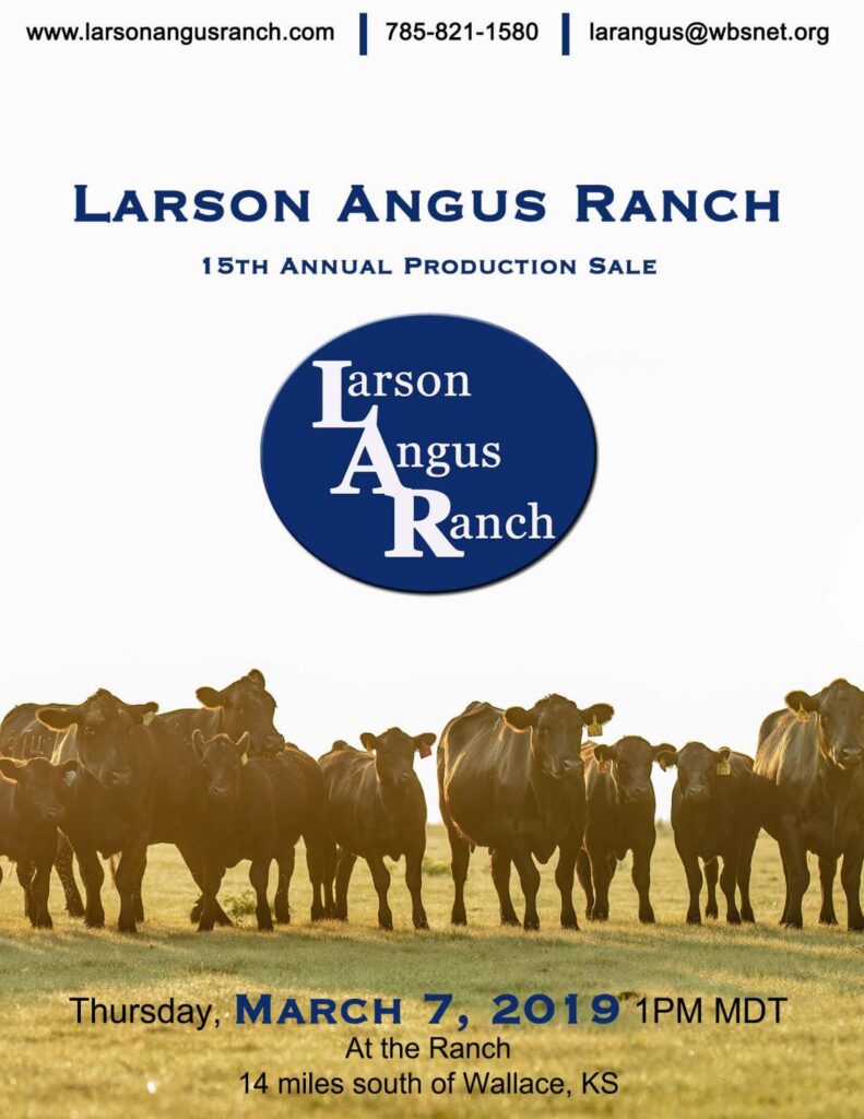 Larson Angus Ranch - 2019 Bull Sale
