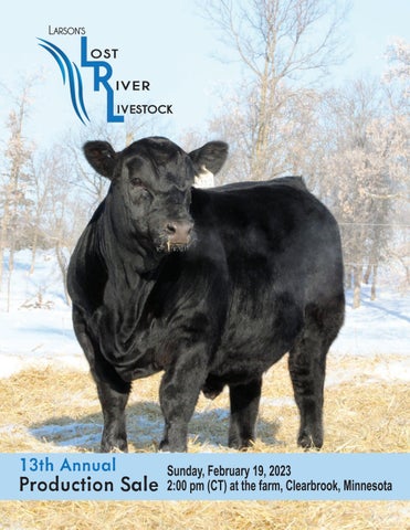 Larson's Lost River Livestock. - 2023 Spring Sale