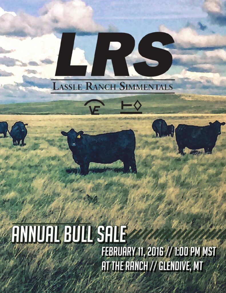 Lassle Ranch Simmentals - 2016 Bull Sale