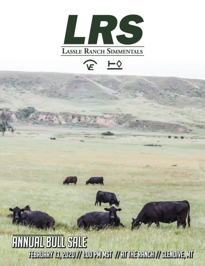 Lassle Ranch Simmentals - 2020 Sale