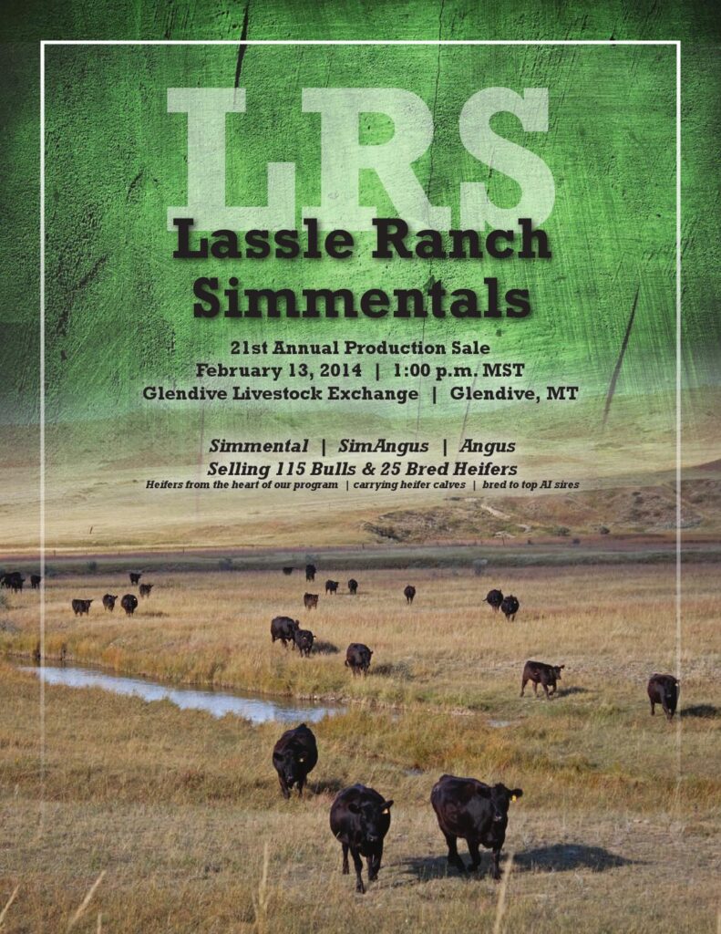 Lassle Ranch Simmentals - 21st Annual Production Sale