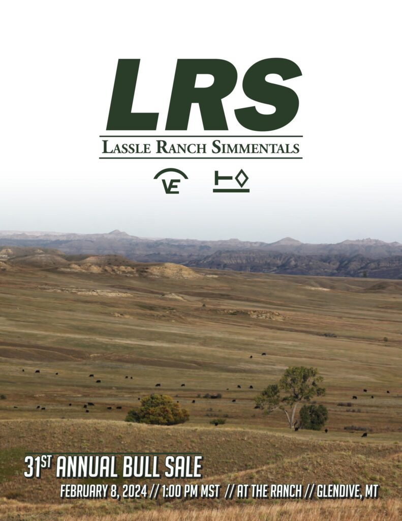 Lassle Ranch Simmentals 31st Annual Bull Sale
