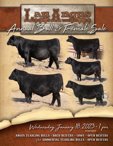 Lau Angus - 2023 Spring Sale