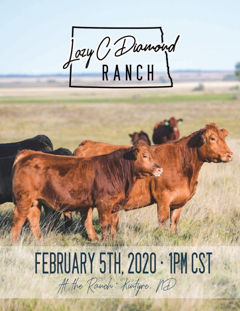 Lazy C Diamond - 2020 Sale