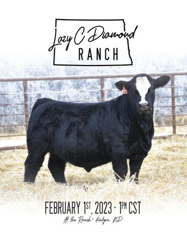 Lazy C Diamond - 2023 Spring Sale