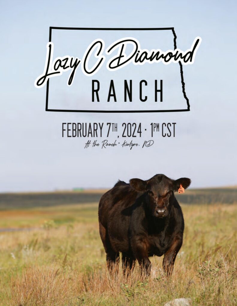 Lazy C Diamond Ranch