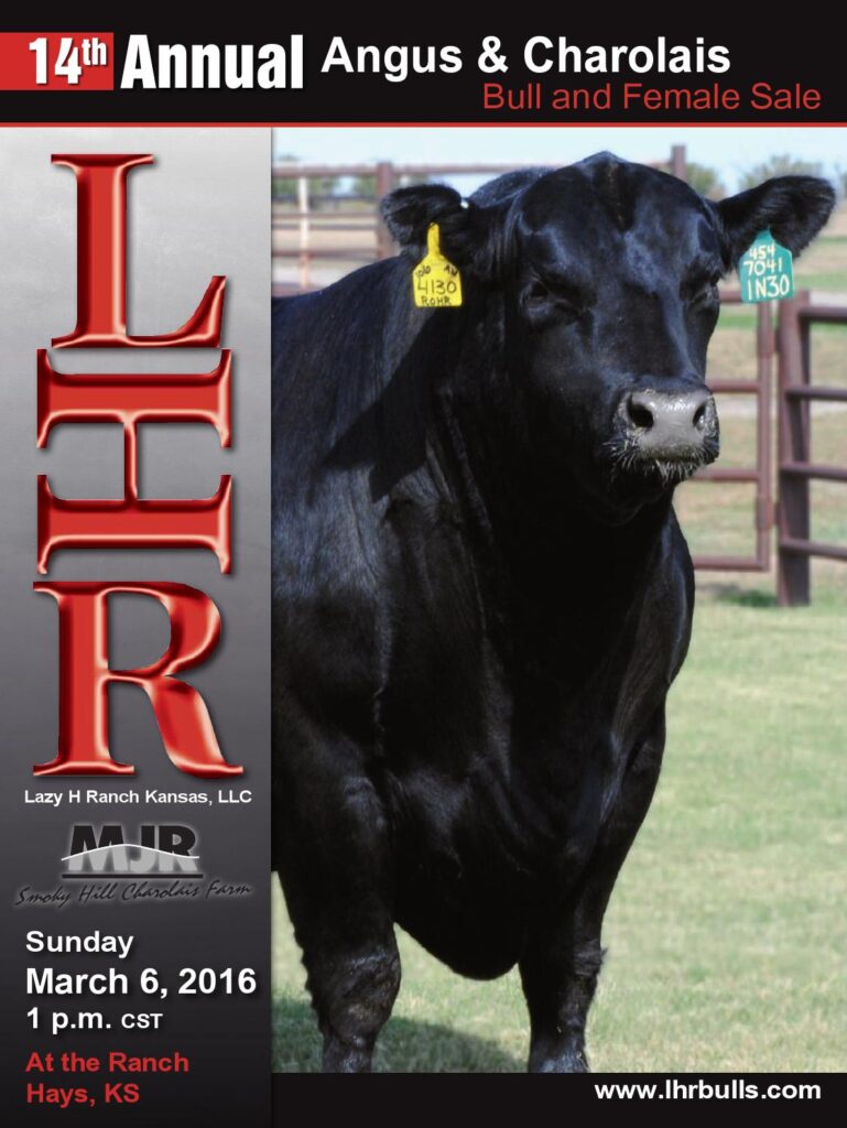Lazy H Ranch - 14th Annual Bull & Female Sale
