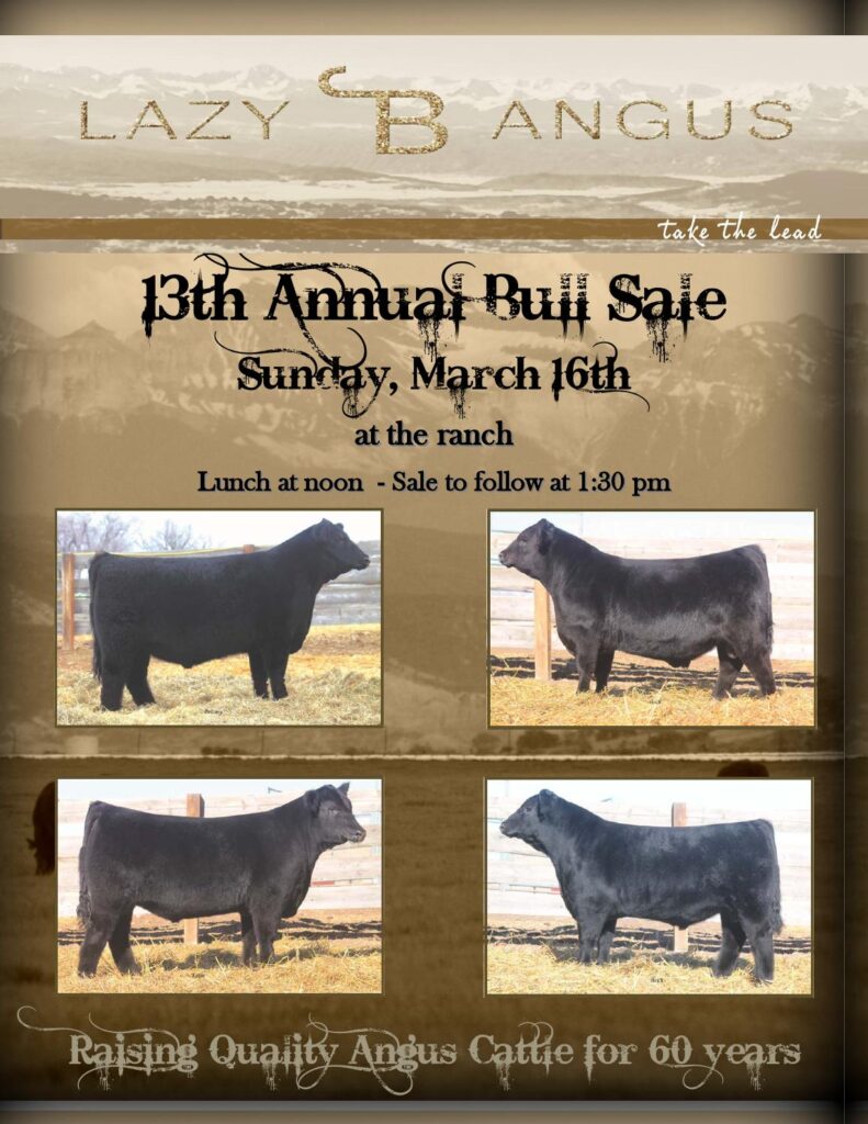 Lazy JB Angus - 13th Annual Bull Sale