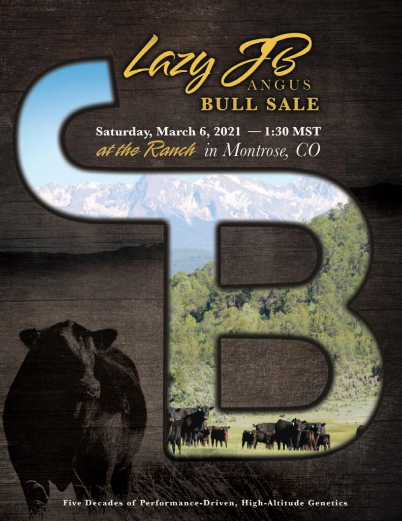 Lazy JB Angus - 2021 Spring Sale