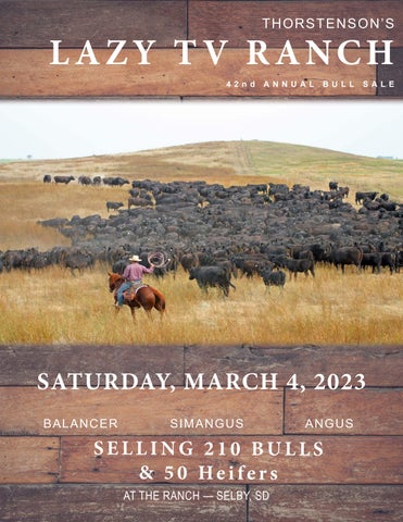 Lazy TV Ranch - 2023 Spring Bull Sale