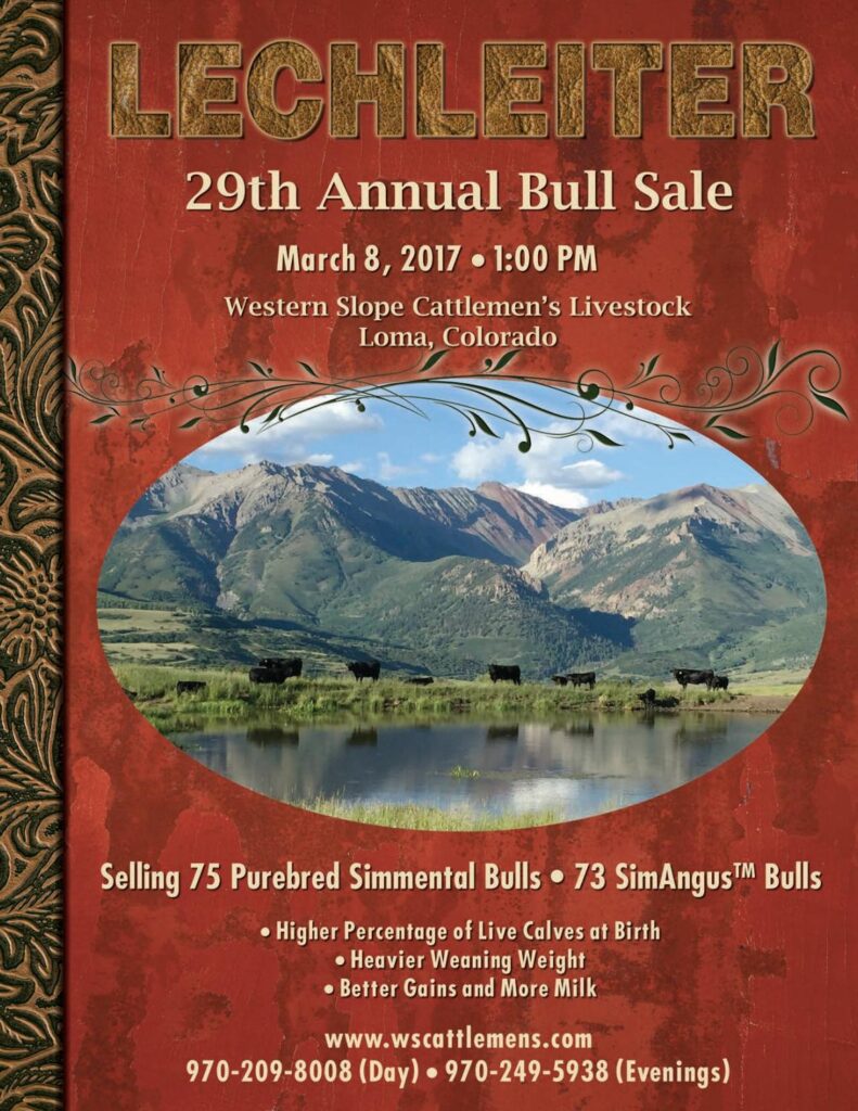 Lechleiter Simmental - 2017 Sale