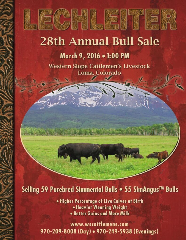 Lechleiter Simmentals - 28th Annual Bull Sale