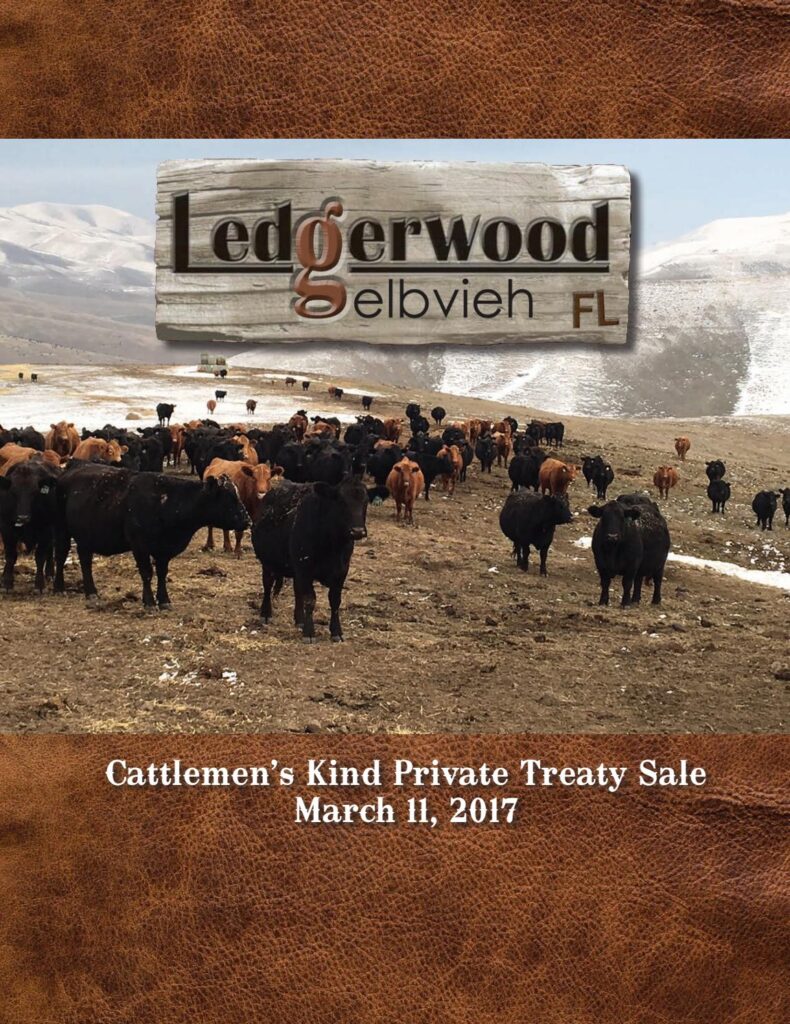 Ledgerwood Gelbvieh - 2017 Cattlemen's Kind Private Treaty Sale