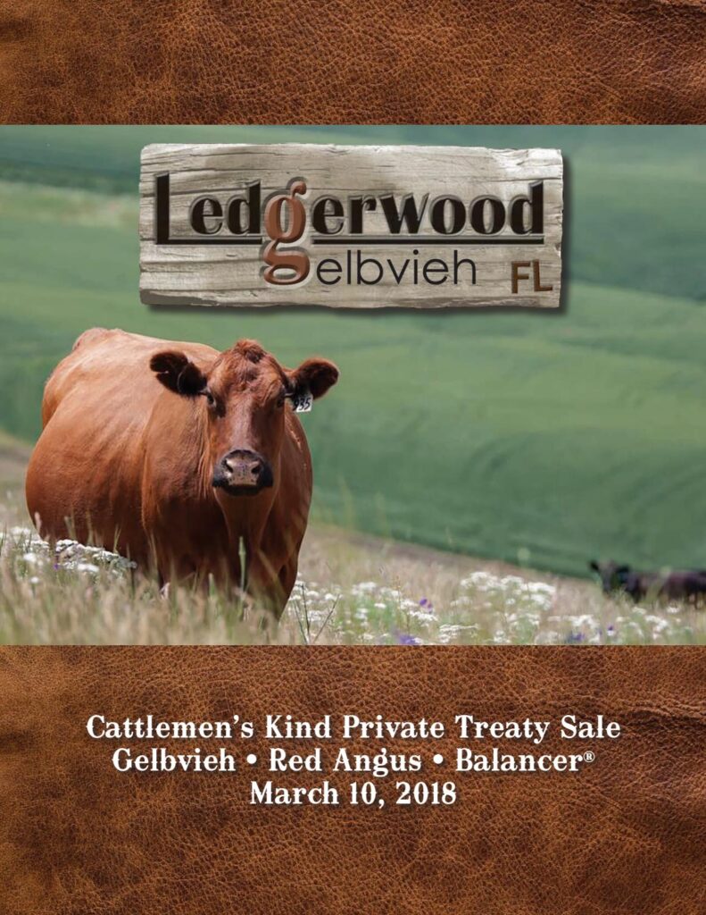 Ledgerwood Gelbvieh - 2018 Bull Sale
