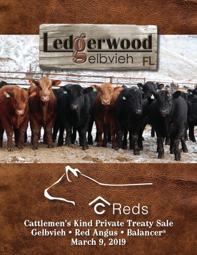 Ledgerwood Gelbvieh - 2019 Bull Sale