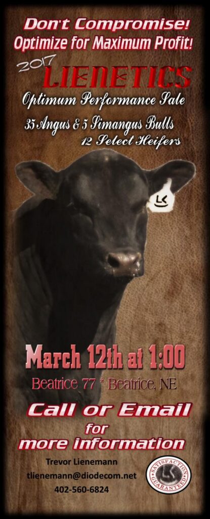 Lienemann Cattle Co - 2017 Bull Sale