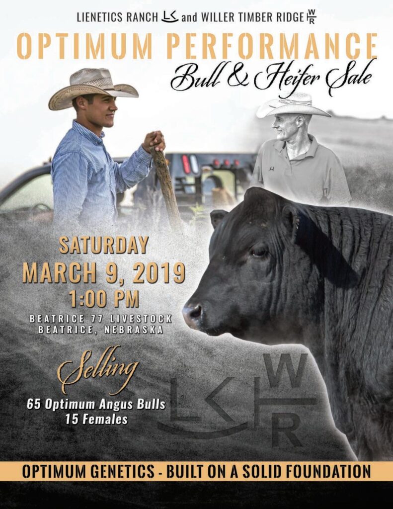 Lienetics Cattle Company - 2019 Bull Sale