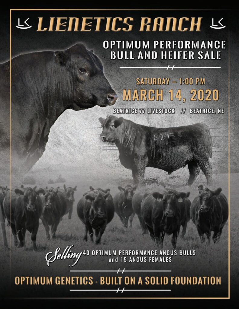 Lienetics Cattle Company - 2020 Bull Sale